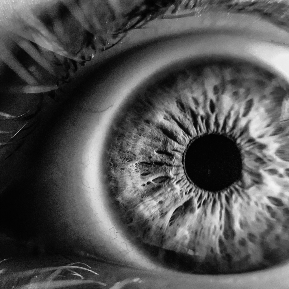 Eye movements Dr. Sander Bosch